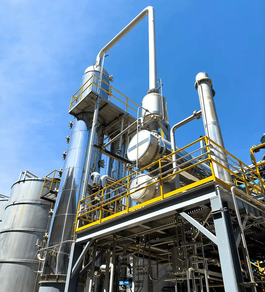 alethia-briones-uFj5kiMcEL0-unsplash 1 (1)